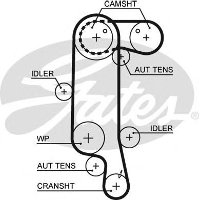 [GA5565XS] Cour Dis GOLF4 -ES 130D-5517XS