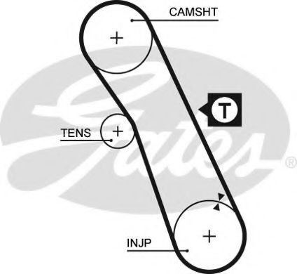 Courr-Dis ESCORT/FIESTA 1.6Die