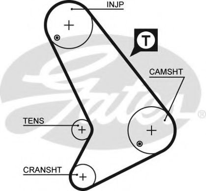Courroie Dist-TRANSIT NM 85