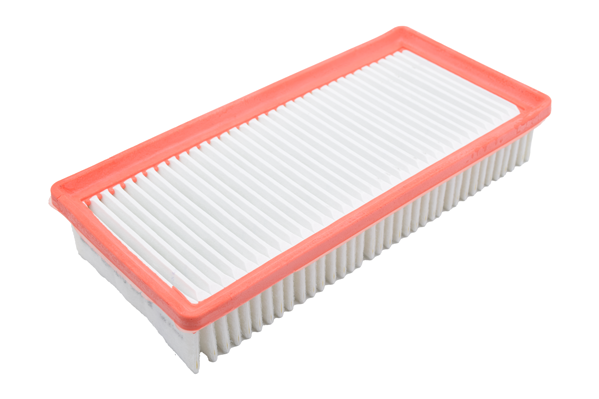 [ELP9216] FILTRE A AIR C5