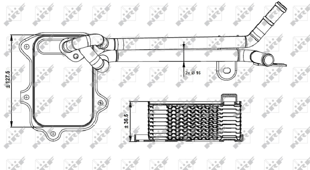 [NRF 31261] RAD HUILE GOLF V 1.4 TSI RO 03C117