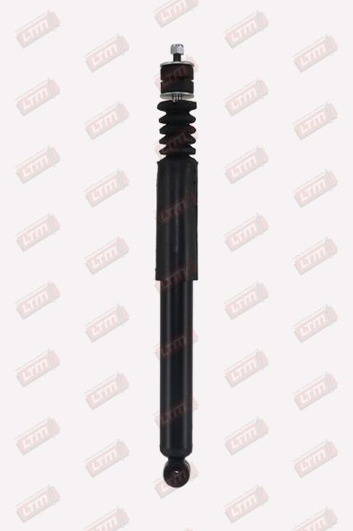 [D22367] AMOR-AR CORSA(154935***)