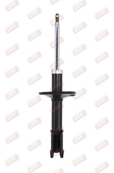 [D28170] AMOR-AV CLIO(104004/545196G)