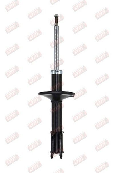 [D28168] Amor AV Re CLIO (545195G)